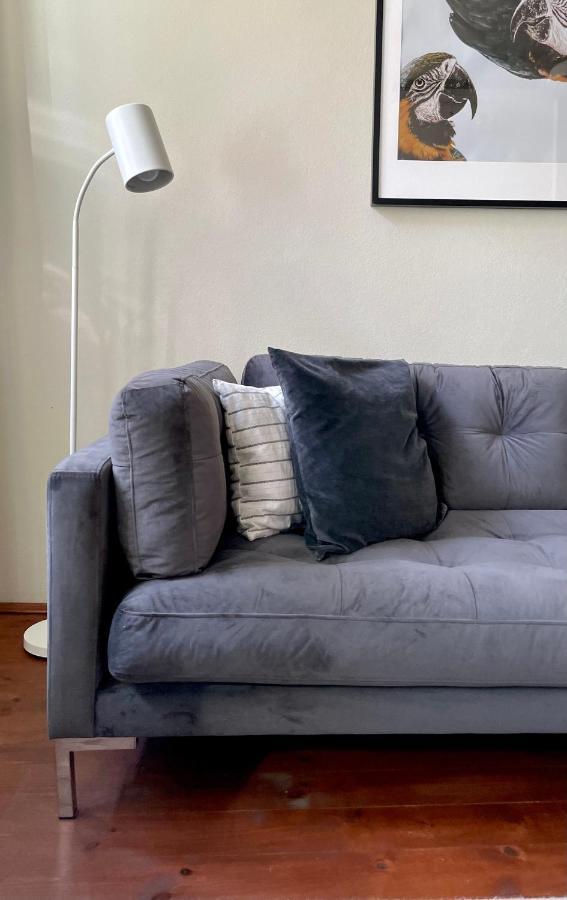 Hip & Minimalist - Stadt Apartments Am Malerweg Πίρνα Εξωτερικό φωτογραφία