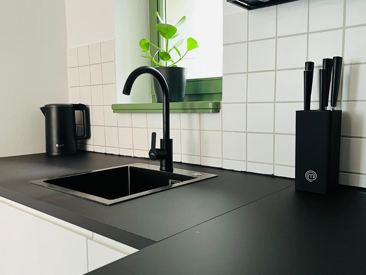 Hip & Minimalist - Stadt Apartments Am Malerweg Πίρνα Εξωτερικό φωτογραφία